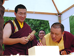 Gyalwa Karmapa and Shamar Rinpoche