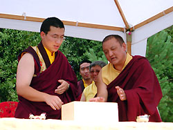 Gyalwa Karmapa and Shamar Rinpoche