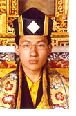 Karmapa Thaye Dordje, the 17th Gyalwa Karmapa
